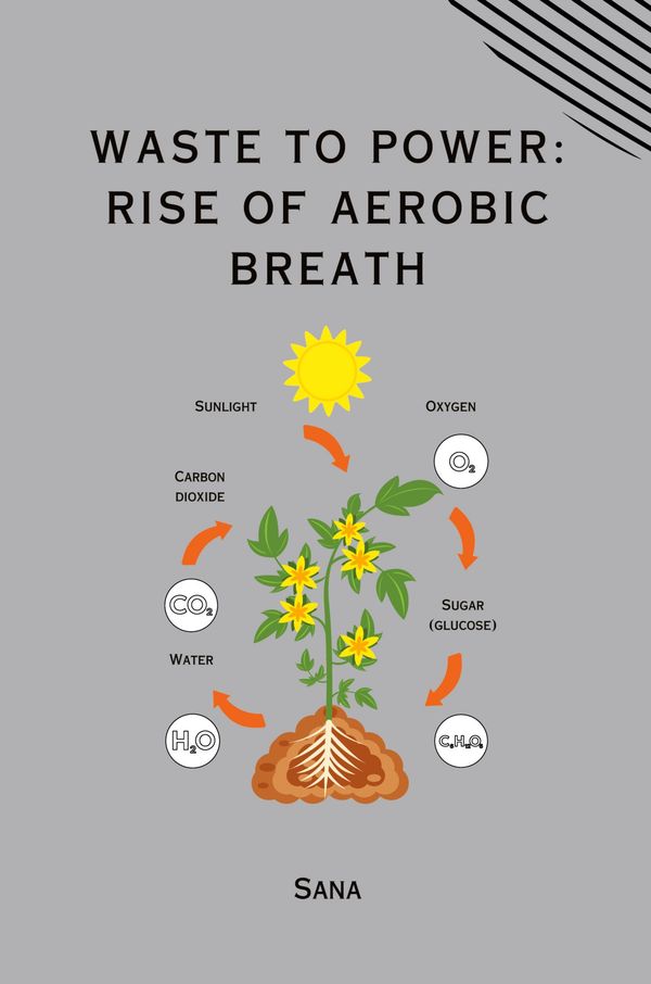 Waste to Power: Rise of Aerobic Breath - Sana (Buch)