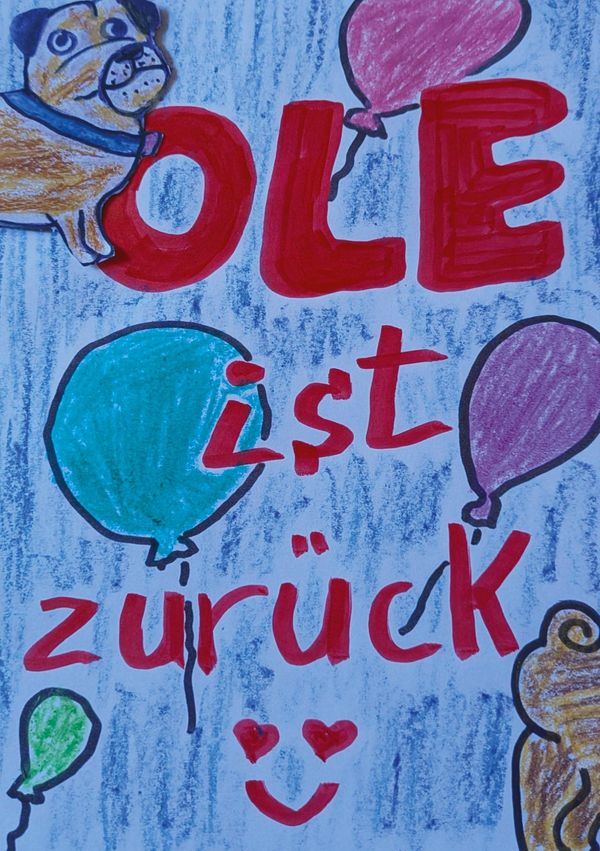 Ole ist zurück - Michaela Daum (Buch)