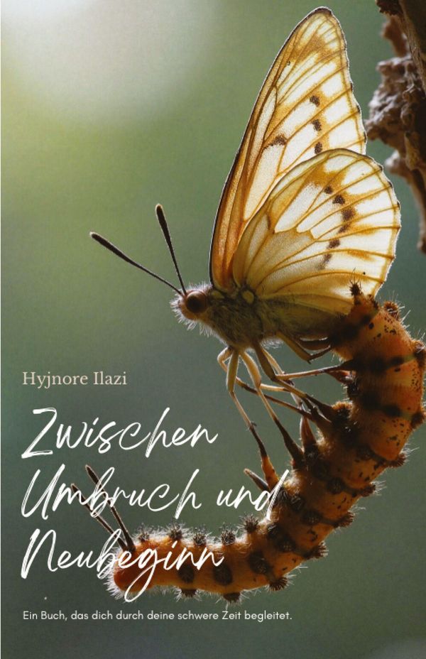 Zwischen Umbruch und Neubeginn - Hyjnore Ilazi (Buch)