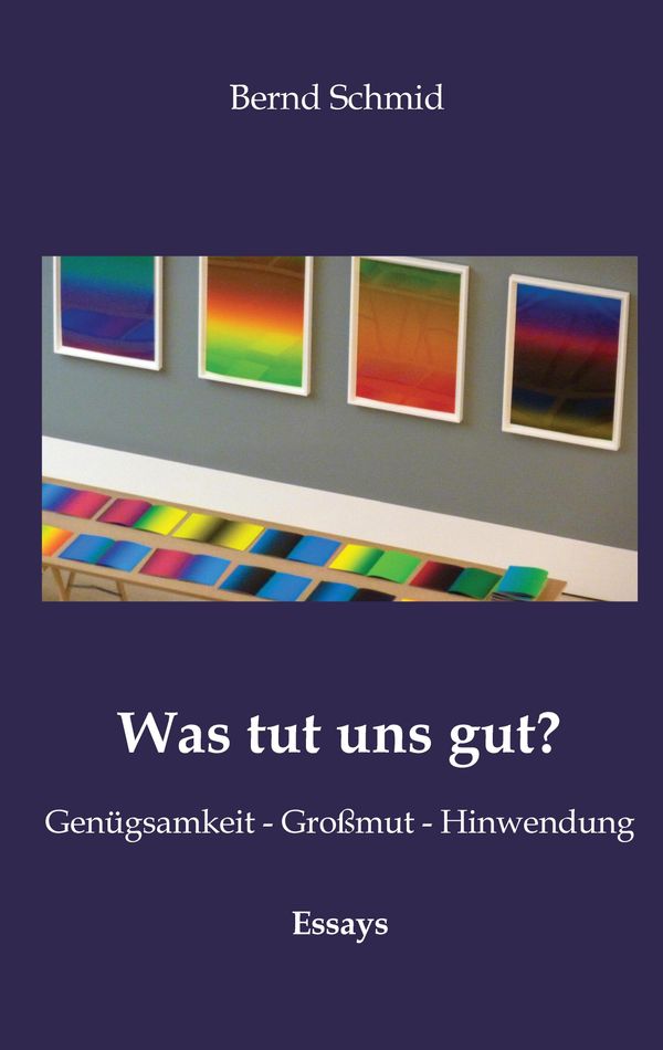 Was tut uns gut? - Bernd Schmid (Buch)