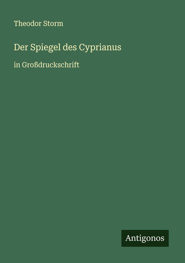 Der Spiegel des Cyprianus - Theodor Storm (Buch)