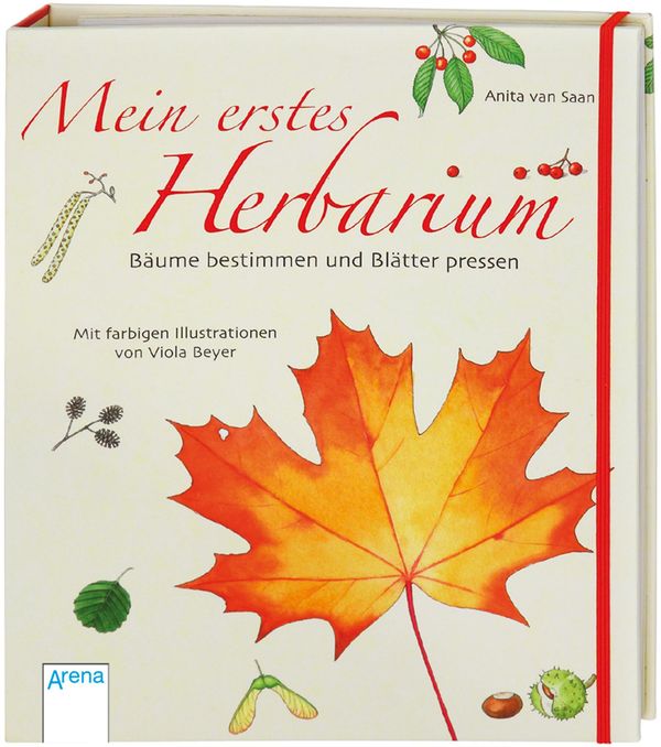 Mein erstes Herbarium - Bäume bestimmen und Blätter pressen (Buch)