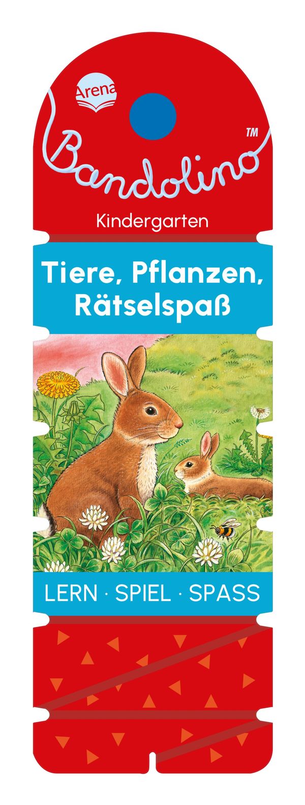 Bandolino. Tiere, Pflanzen, Rätselspaß - Friederike Barnhusen (Buch)