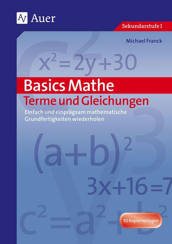 Basics Mathe: Terme und Gleichungen - Hans Schmidt (Buch)