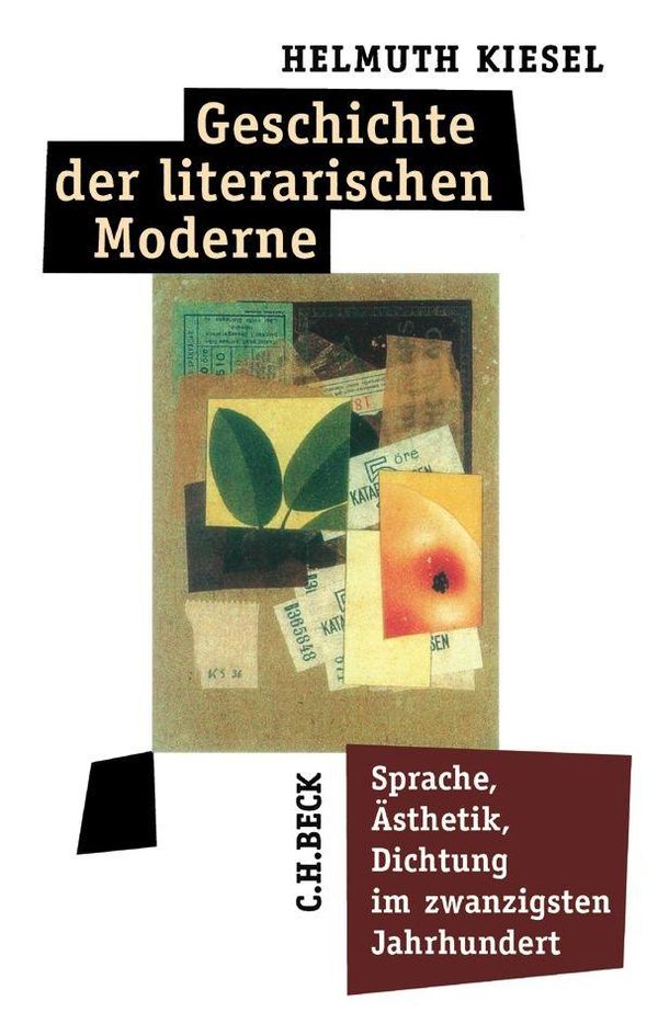 Geschichte der literarischen Moderne - Helmuth Kiesel (Buch)