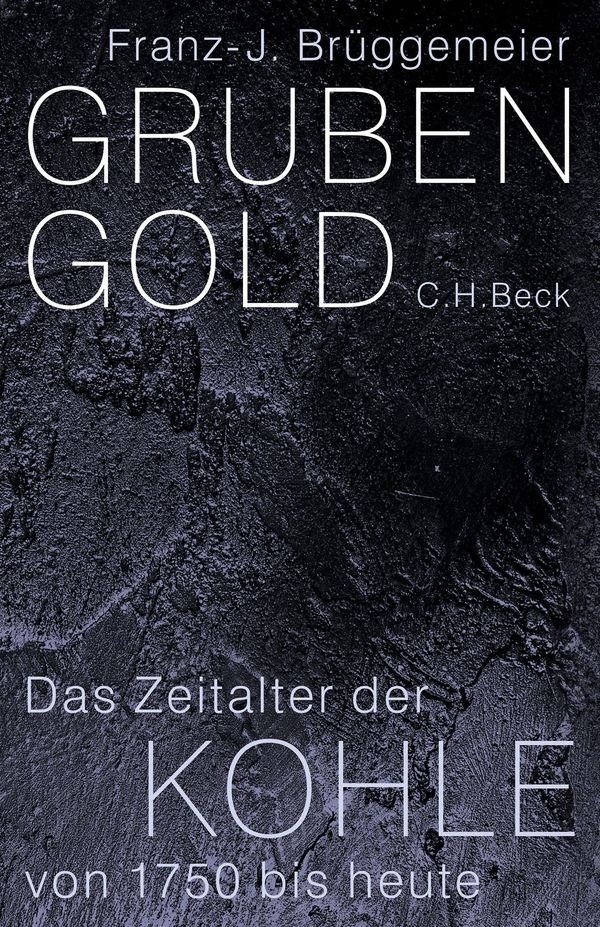 Grubengold - Franz-Josef Brüggemeier (Buch)
