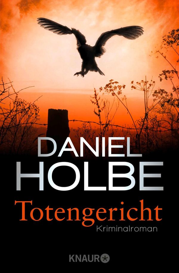 Totengericht - Daniel Holbe (Buch)