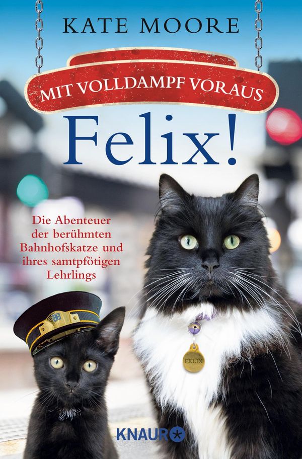 Mit Volldampf voraus, Felix! - Kate Moore (Buch)