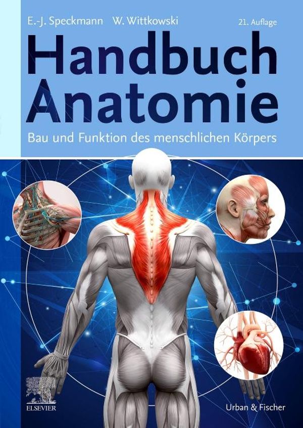Handbuch Anatomie (Buch)