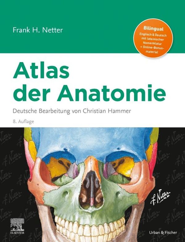 Netter Atlas der Anatomie - Frank H. Netter (Buch)