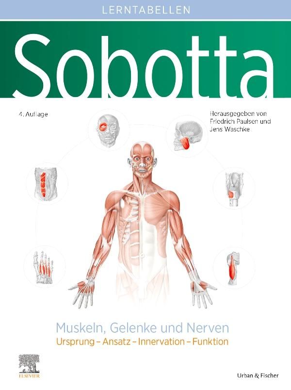 Sobotta Lerntabellen Anatomie Muskeln, Gelenke und Nerven (Buch)