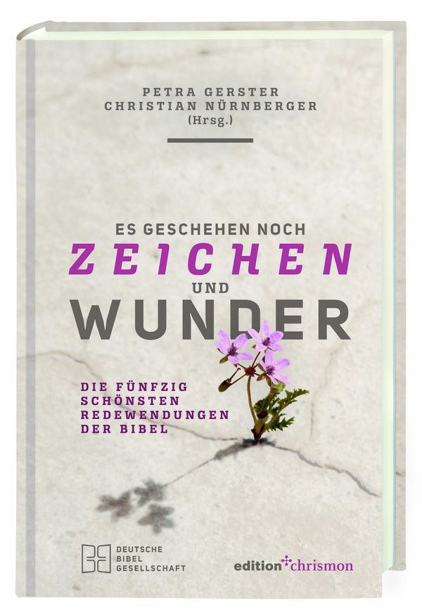 Es geschehen noch Zeichen und Wunder (Buch)