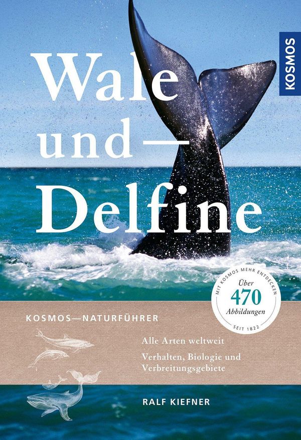 Wale und Delfine - Ralf Kiefner (Buch)