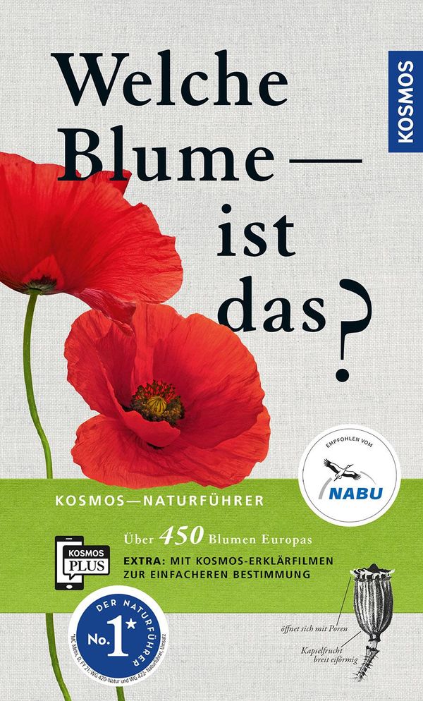 Welche Blume ist das? - Margot Spohn (Buch)