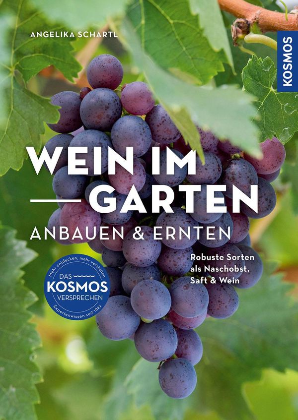 Wein im Garten anbauen & ernten - Angelika Schartl (Buch)