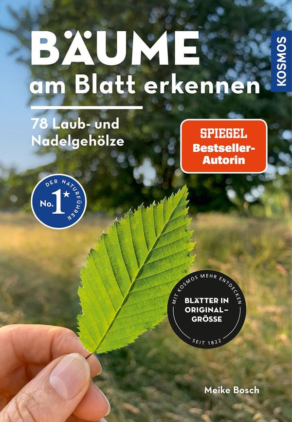 Bäume am Blatt erkennen - 78 Laub- und Nadelgehölze. Blätter in Ori...