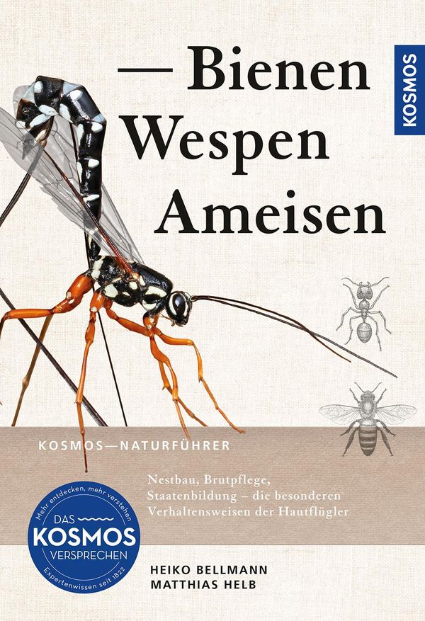 Bienen, Wespen, Ameisen - Heiko Bellmann (Buch)