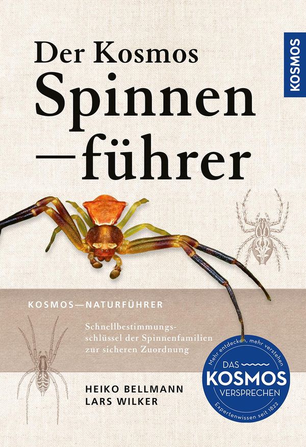 Der Kosmos Spinnenführer - Heiko Bellmann (Buch)