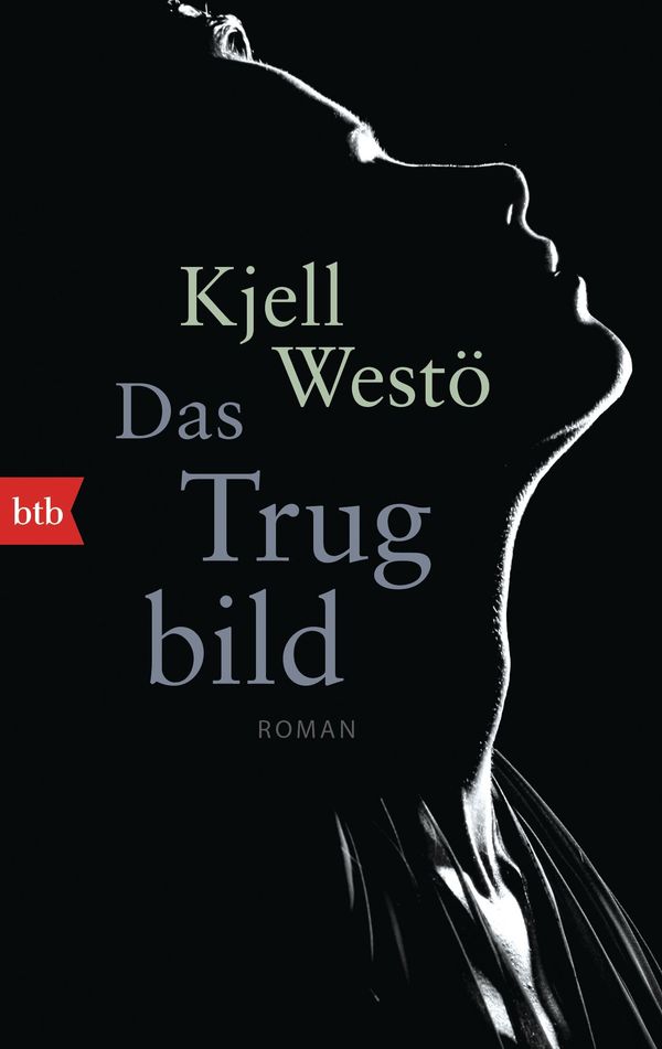 Das Trugbild - Kjell Westö (Buch)