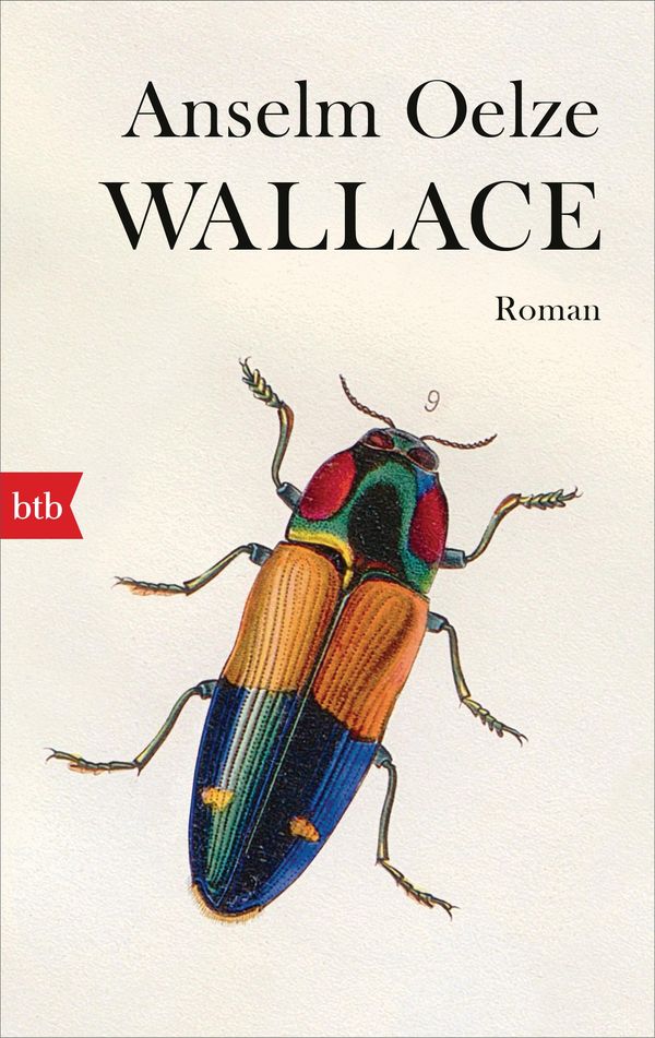 Wallace - Anselm Oelze (Buch)
