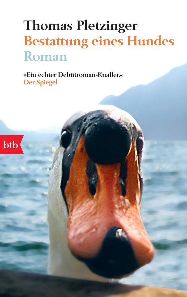 Bestattung eines Hundes - Thomas Pletzinger (Buch)