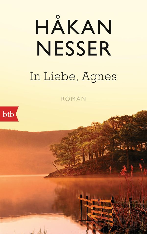 In Liebe, Agnes - Håkan Nesser (Buch)