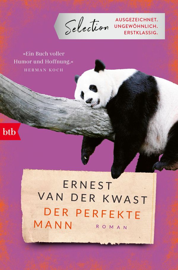 Der perfekte Mann - Ernest van der Kwast (Buch)