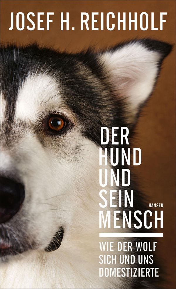 Der Hund und sein Mensch - Josef H. Reichholf (Buch)