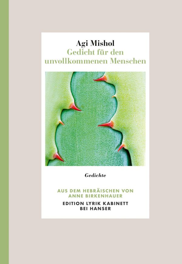 Gedicht für den unvollkommenen Menschen - Agi Mishol (Buch)