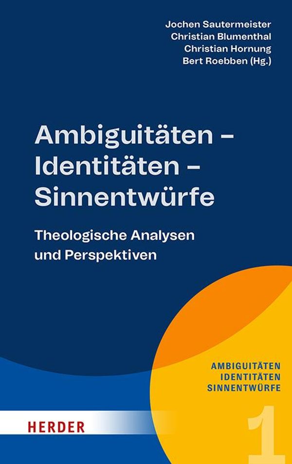 Ambiguitäten - Identitäten - Sinnentwürfe (Buch)