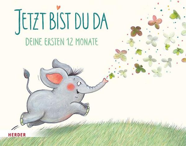 Jetzt bist du da - Deine ersten 12 Monate (Buch)