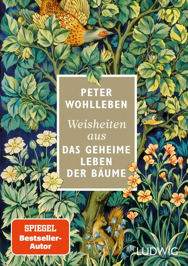 Weisheiten aus Das geheime Leben der Bäume - Peter Wohlleben (Buch)