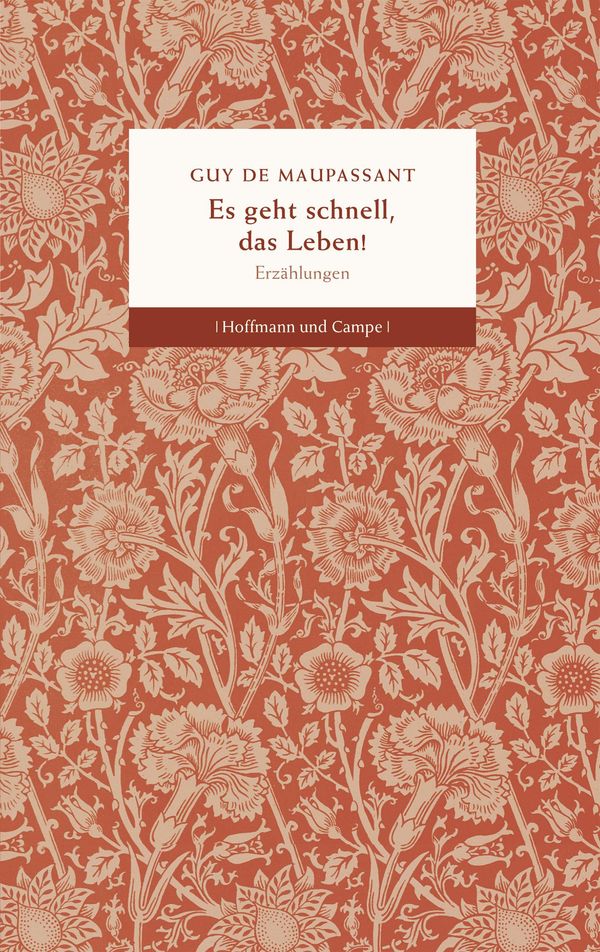 Es geht schnell, das Leben! - Guy de Maupassant (Buch)