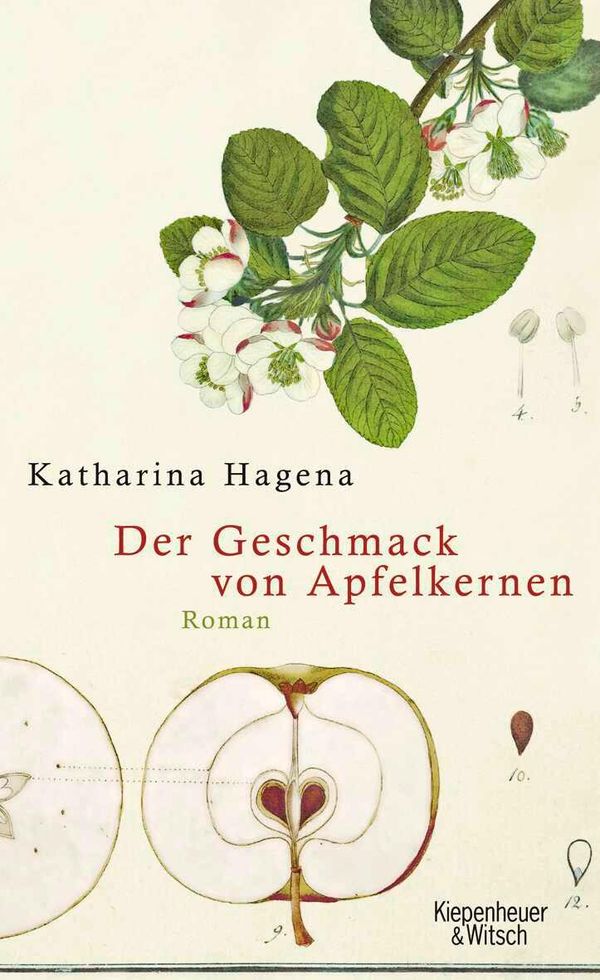 Der Geschmack von Apfelkernen - Katharina Hagena (Buch)