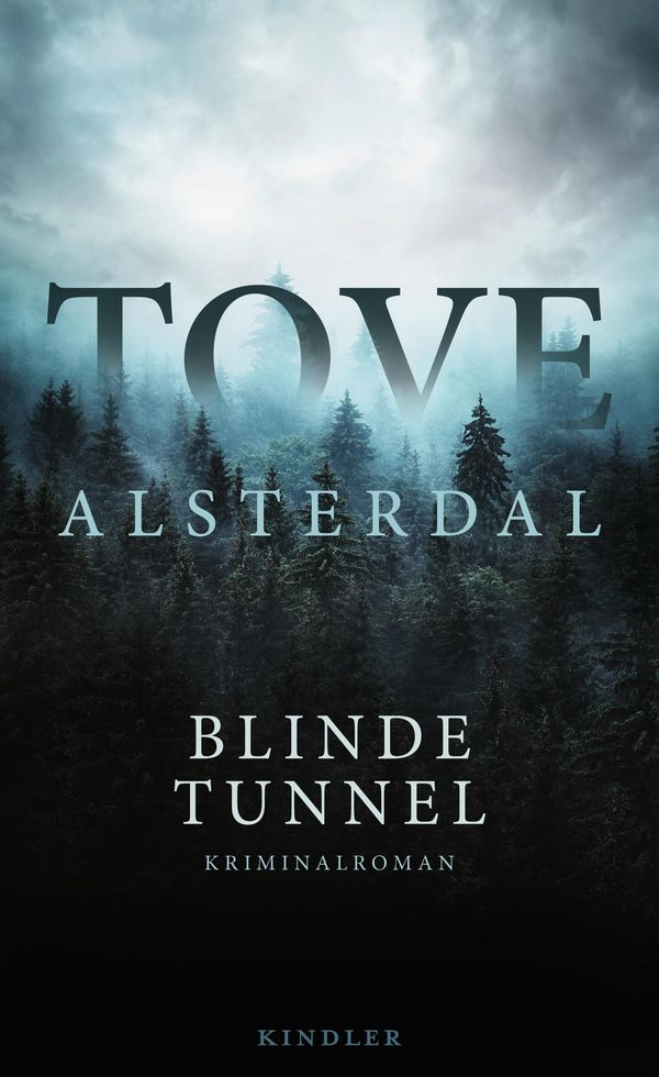 Blinde Tunnel - Tove Alsterdal (Buch)