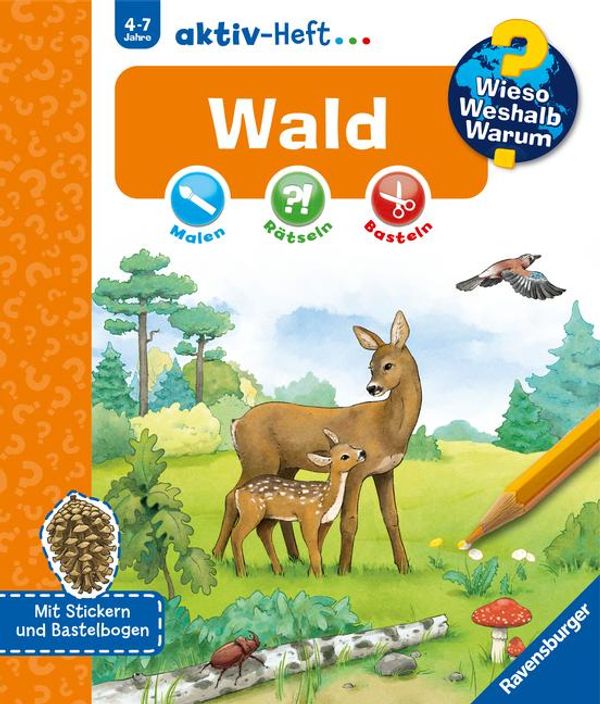 Wieso? Weshalb? Warum? aktiv-Heft: Wald (Buch)