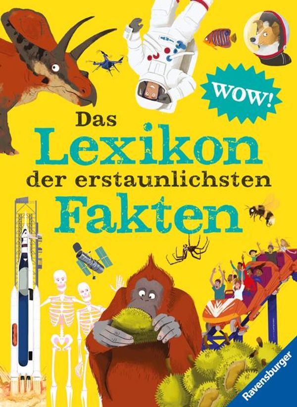 Das Lexikon der erstaunlichsten Fakten - Jacqueline McCann (Buch)