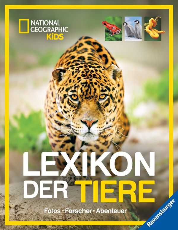 National Geographic Kids - Lexikon der Tiere - Lucy Spelman (Buch)