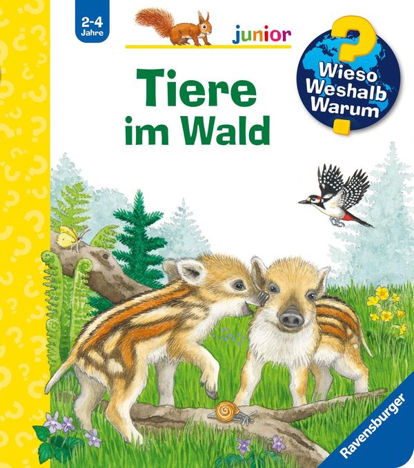 Wieso? Weshalb? Warum? junior, Band 77 - Tiere im Wald (Buch)