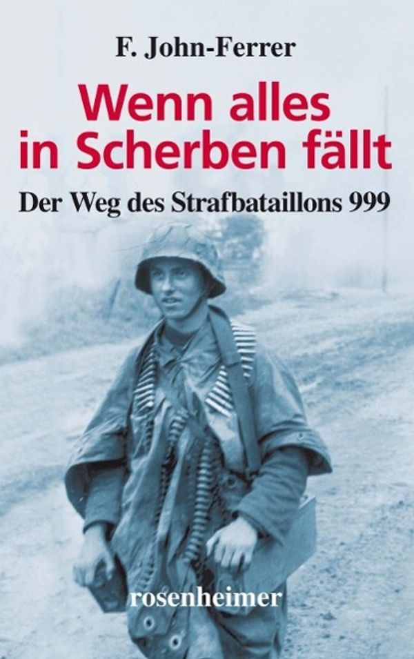 Wenn alles in Scherben fällt - F. John-Ferrer (Buch)