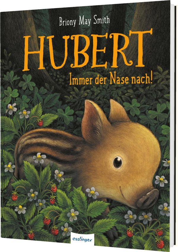 Hubert - Briony May Smith (Buch)