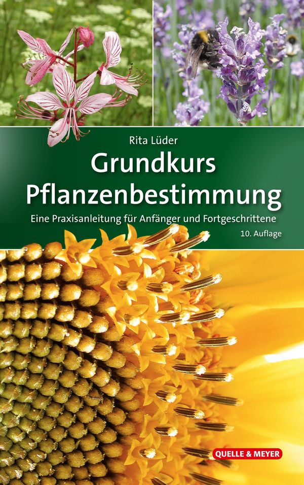 Grundkurs Pflanzenbestimmung - Rita Lüder (Buch)