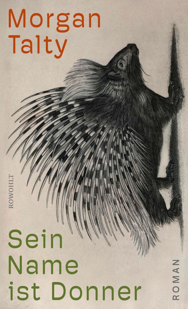 Sein Name ist Donner - Morgan Talty (Buch)