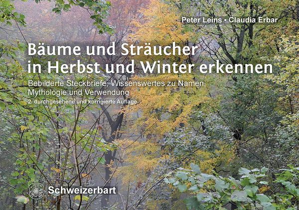Bäume und Sträucher in Herbst und Winter erkennen - Peter Leins (Buch)