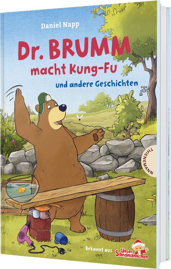 Dr. Brumm: Dr. Brumm macht Kung-Fu - Daniel Napp (Buch)
