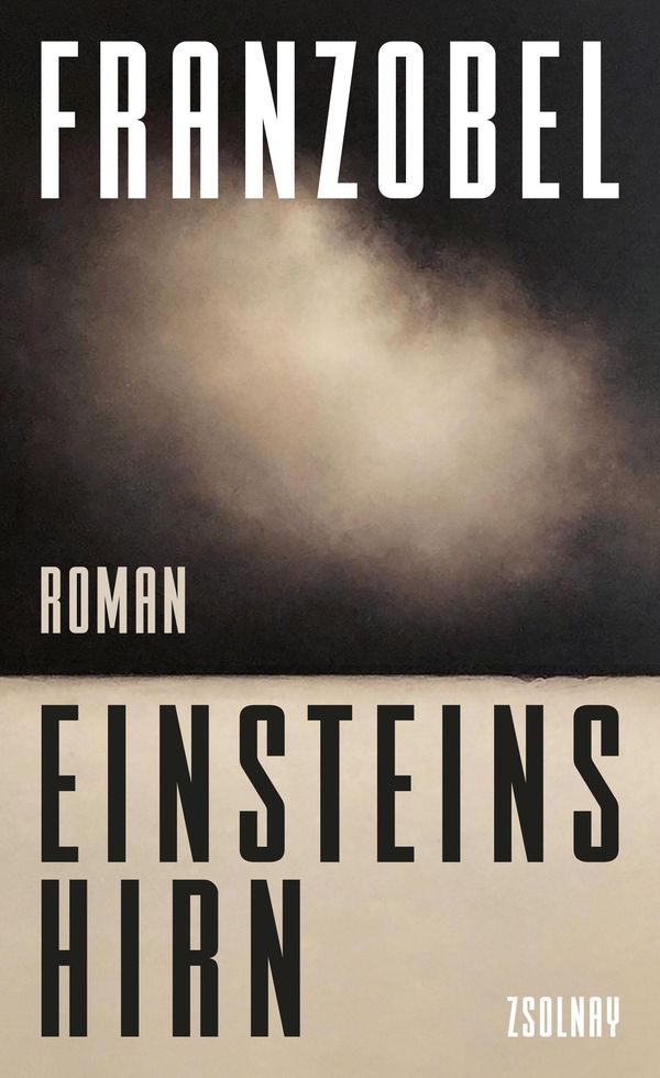 Einsteins Hirn - Franzobel (Buch)