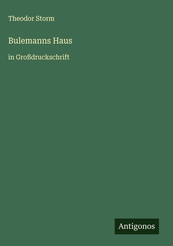 Bulemanns Haus - Theodor Storm (Buch)