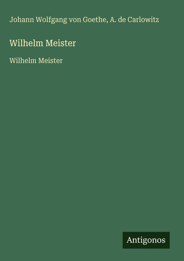 Wilhelm Meister - Johann Wolfgang von Goethe (Buch)