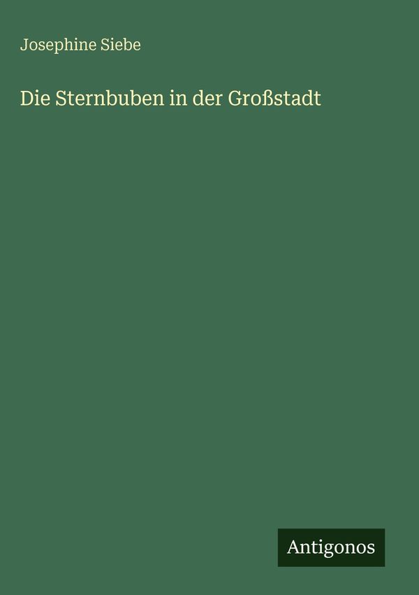 Die Sternbuben in der Großstadt - Josephine Siebe (Buch)