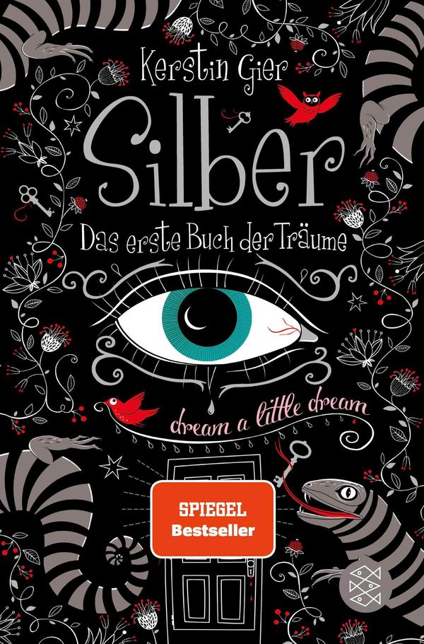 Silber - Das erste Buch der Träume - Kerstin Gier (Buch)